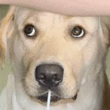 吉祥彩手机登录网页版会员登录 幽霊王の注意はすべてリン・ティエンとジュロンに向けられていた。