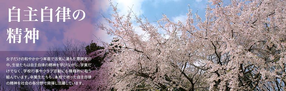 IM体育集团官方地址